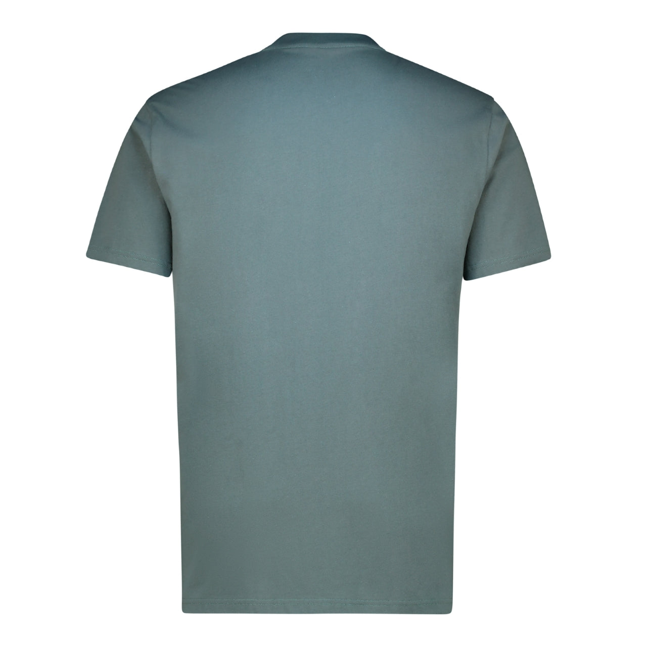 ALPHA BASIC LOGO T - SAGE